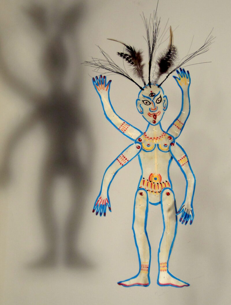 Shadow Kali 2015